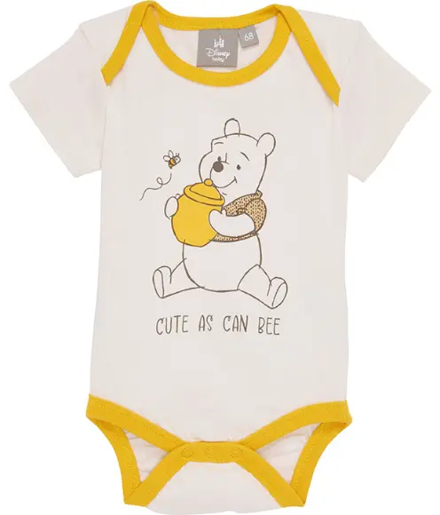 Winnie Pooh Body